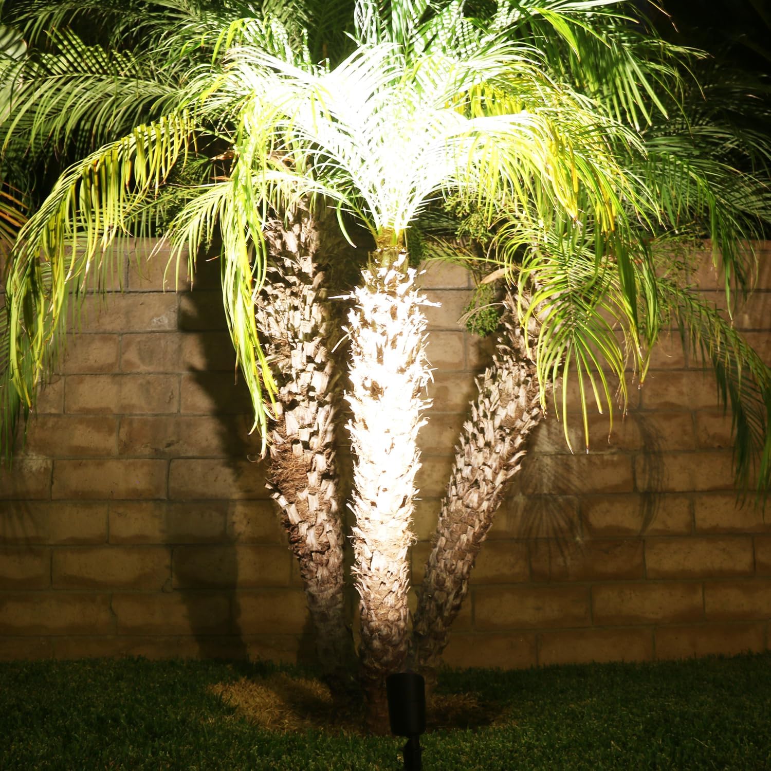 Lumina landscape lighting new arrivals